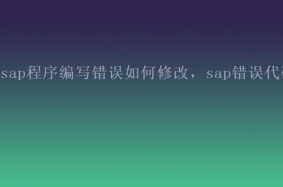 sap程序编写错误如何修改，sap错误代码2