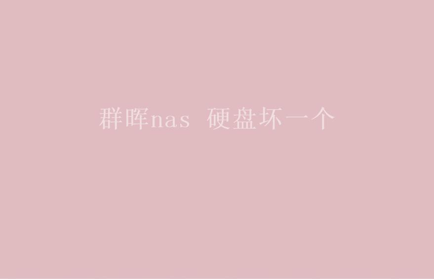 群晖nas 硬盘坏一个2