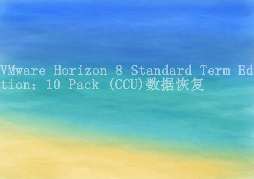 VMware Horizon 8 Standard Term Edition：10 Pack (CCU)数据恢复2