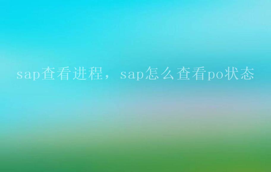 sap查看进程，sap怎么查看po状态2