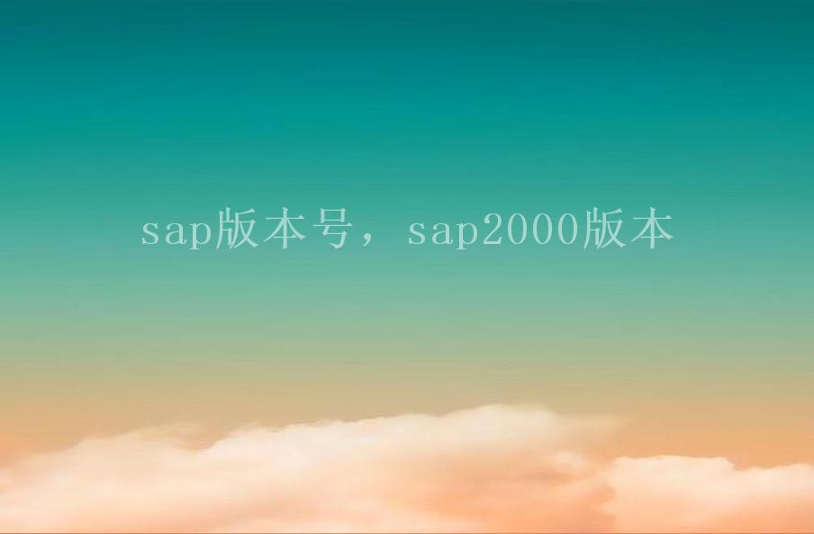 sap版本号，sap2000版本2