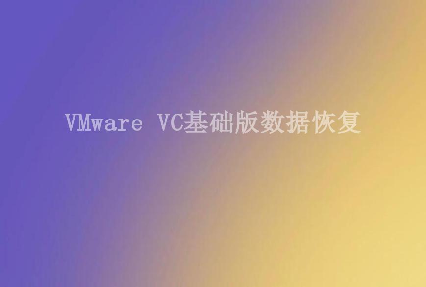 VMware VC基础版数据恢复1
