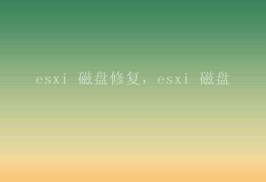 esxi 磁盘修复，esxi 磁盘1