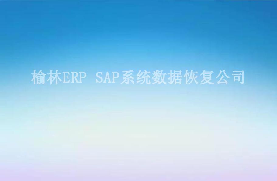 榆林ERP SAP系统数据恢复公司1