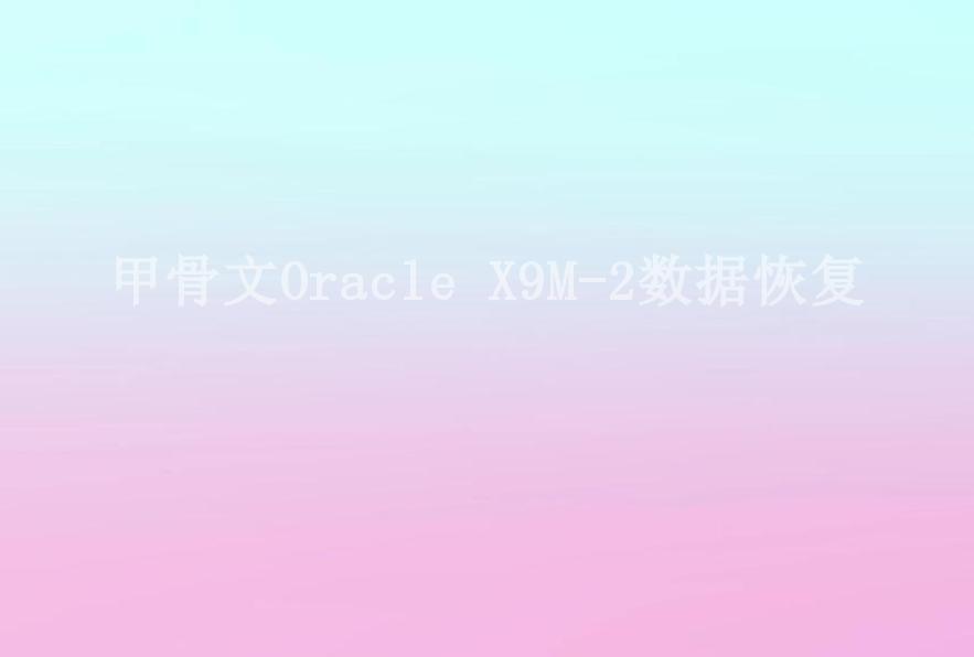 甲骨文Oracle X9M-2数据恢复1