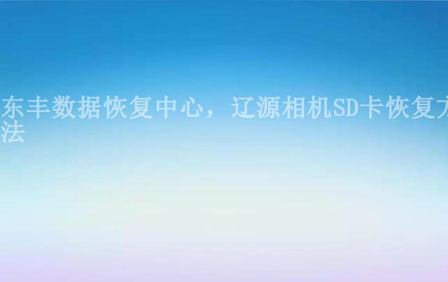 东丰数据恢复中心，辽源相机SD卡恢复方法2