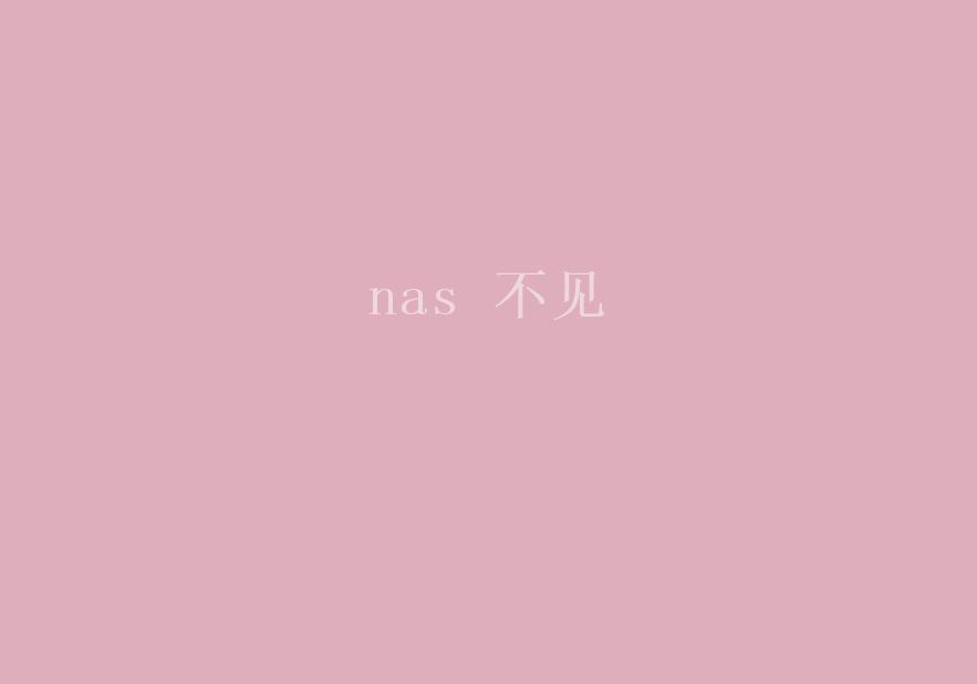 nas 不见2