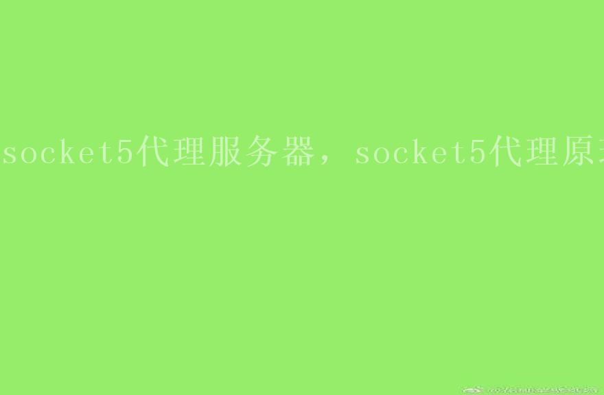 socket5代理服务器，socket5代理原理2