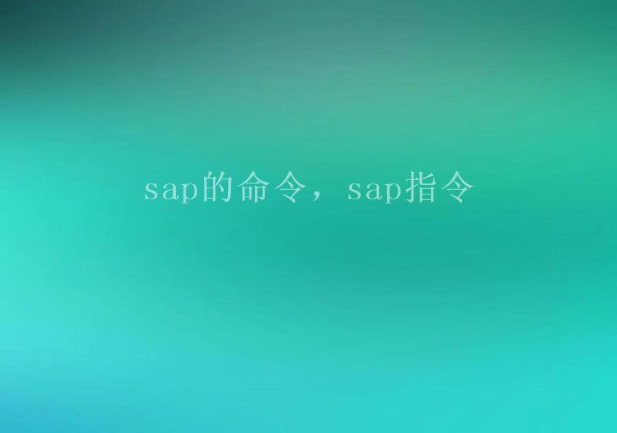 sap的命令，sap指令1