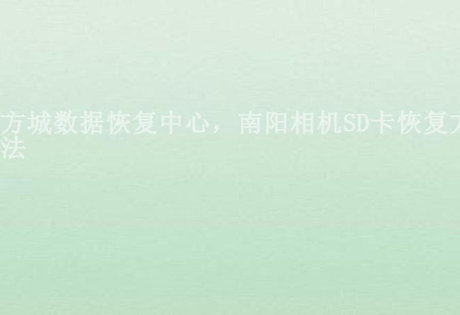 方城数据恢复中心，南阳相机SD卡恢复方法2