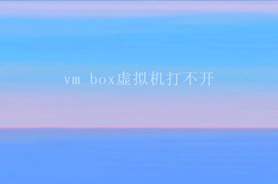 vm box虚拟机打不开2