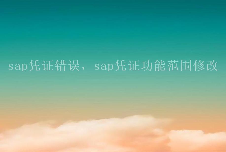 sap凭证错误，sap凭证功能范围修改1