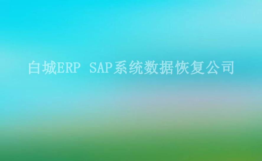 白城ERP SAP系统数据恢复公司1