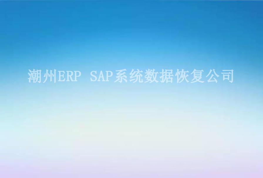 潮州ERP SAP系统数据恢复公司2