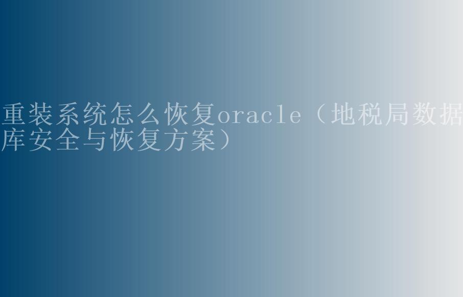 重装系统怎么恢复oracle（地税局数据库安全与恢复方案）2