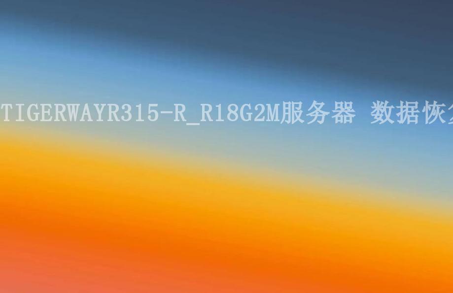 TIGERWAYR315-R_R18G2M服务器 数据恢复2