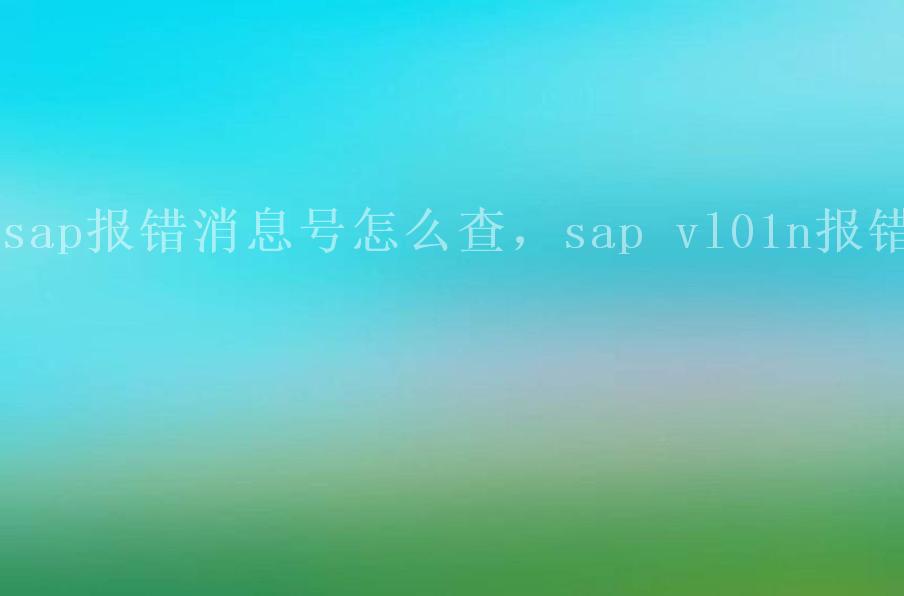 sap报错消息号怎么查，sap vl01n报错1