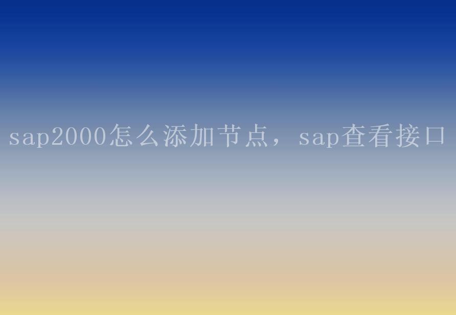 sap2000怎么添加节点，sap查看接口1