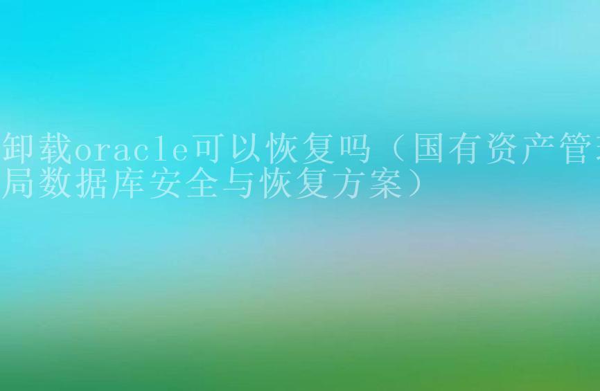 卸载oracle可以恢复吗（国有资产管理局数据库安全与恢复方案）2