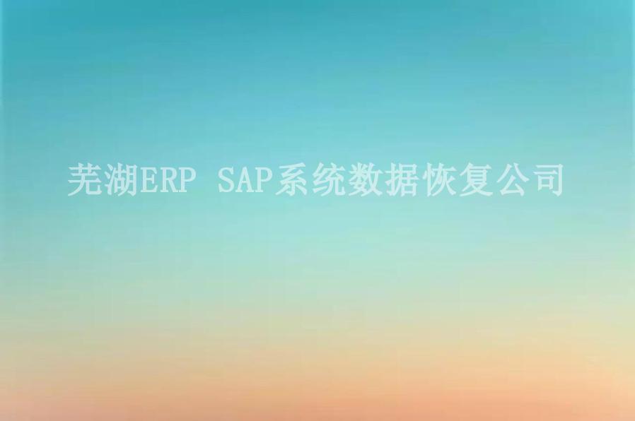 芜湖ERP SAP系统数据恢复公司2