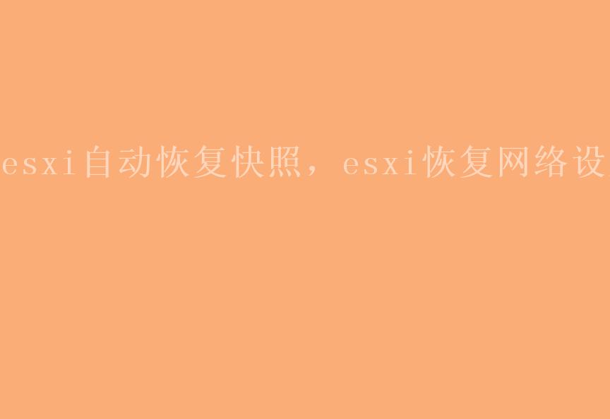 esxi自动恢复快照，esxi恢复网络设置2