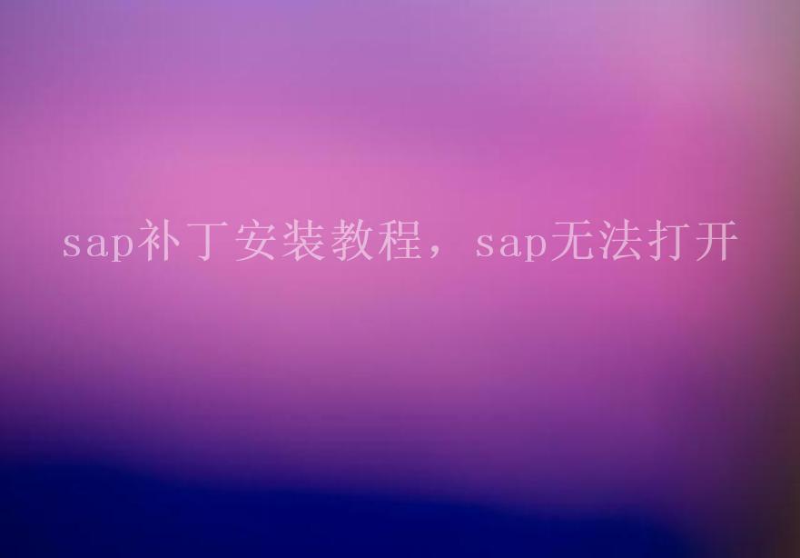 sap补丁安装教程，sap无法打开2