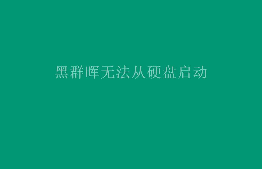 黑群晖无法从硬盘启动2