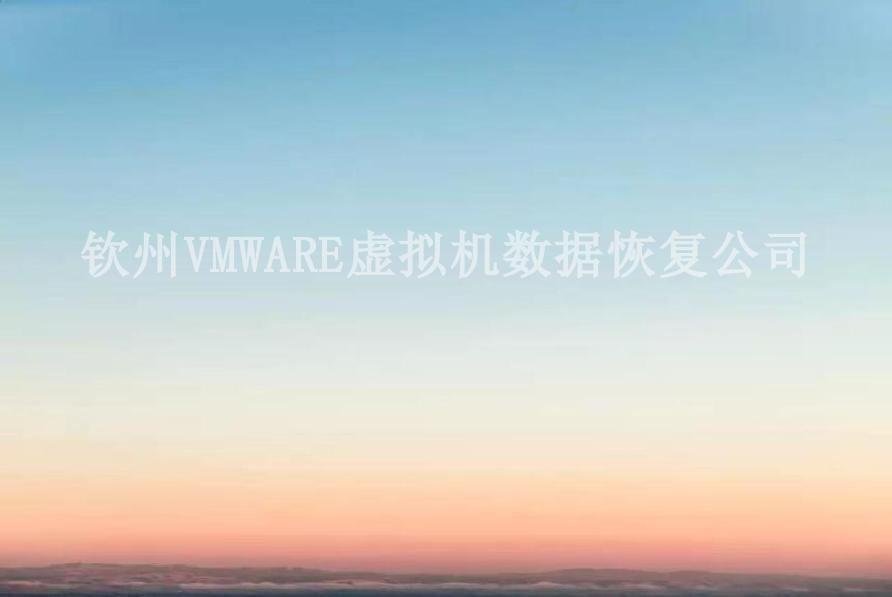 钦州VMWARE虚拟机数据恢复公司1