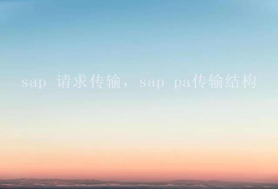 sap 请求传输，sap pa传输结构1