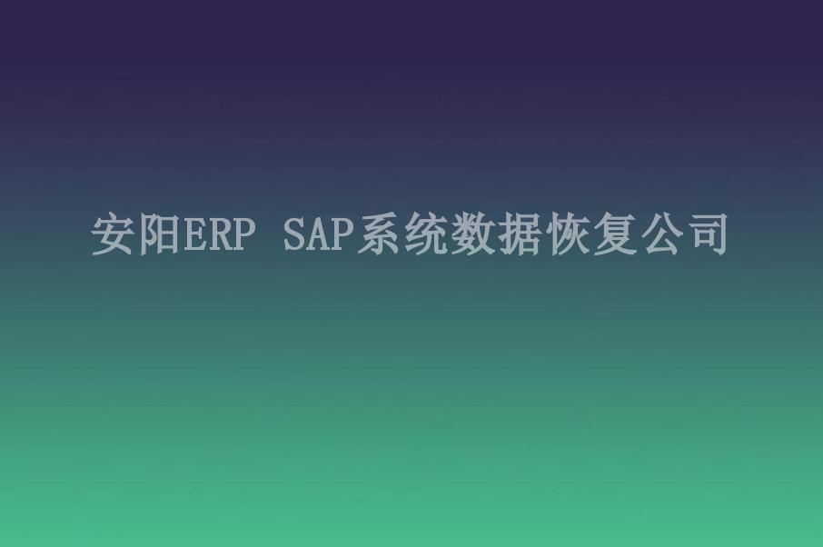 安阳ERP SAP系统数据恢复公司2