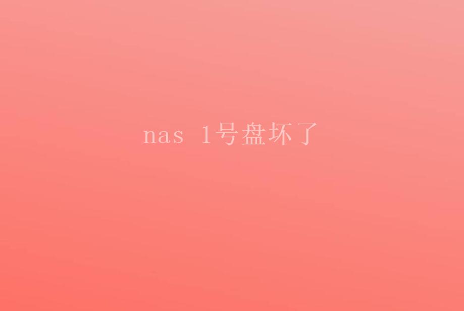 nas 1号盘坏了1