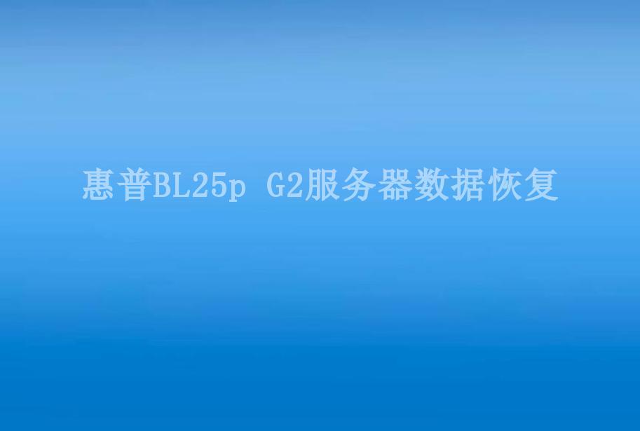 惠普BL25p G2服务器数据恢复1