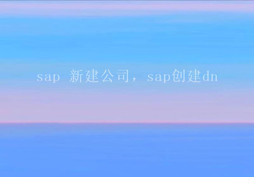 sap 新建公司，sap创建dn1