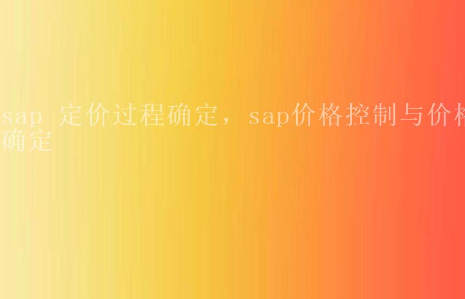 sap 定价过程确定，sap价格控制与价格确定2