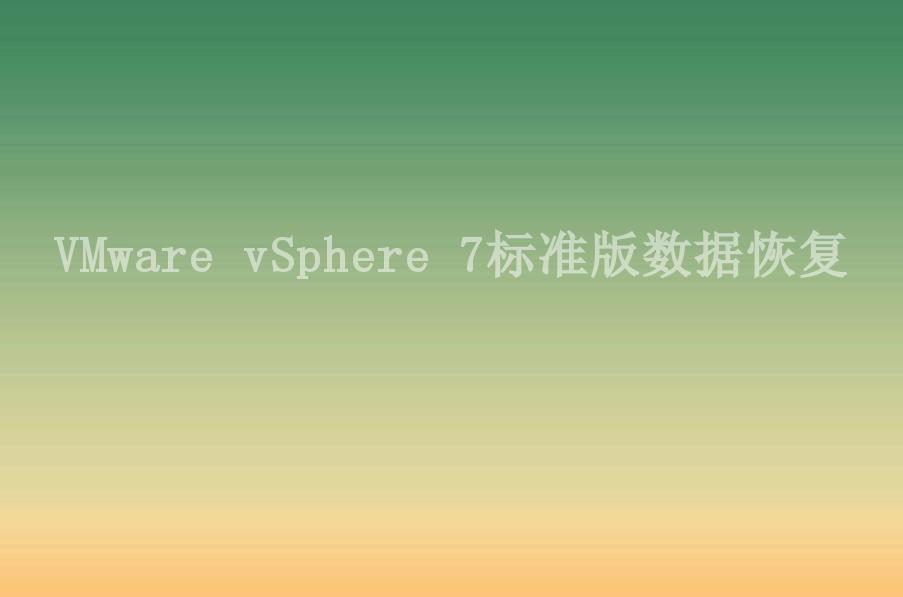 VMware vSphere 7标准版数据恢复2