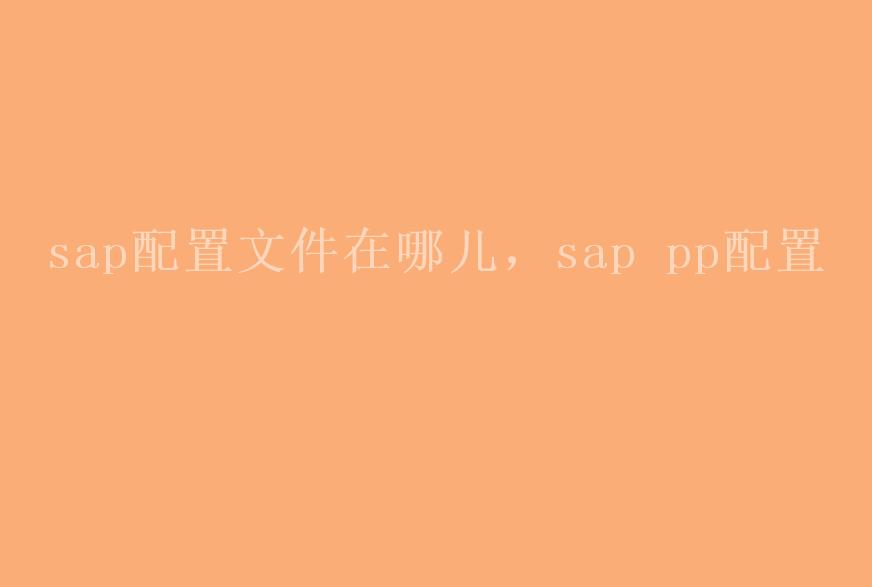 sap配置文件在哪儿，sap pp配置1