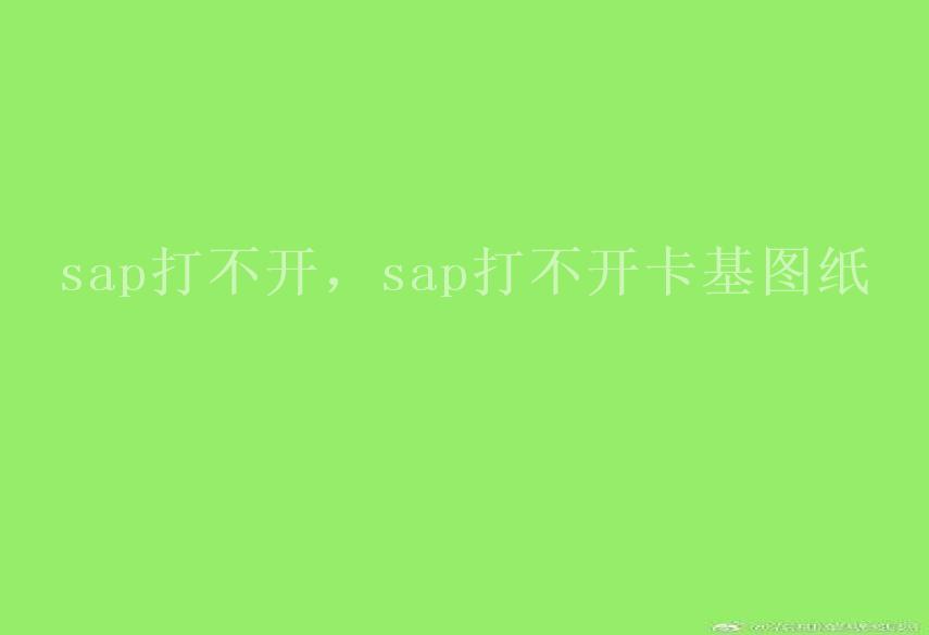 sap打不开，sap打不开卡基图纸2