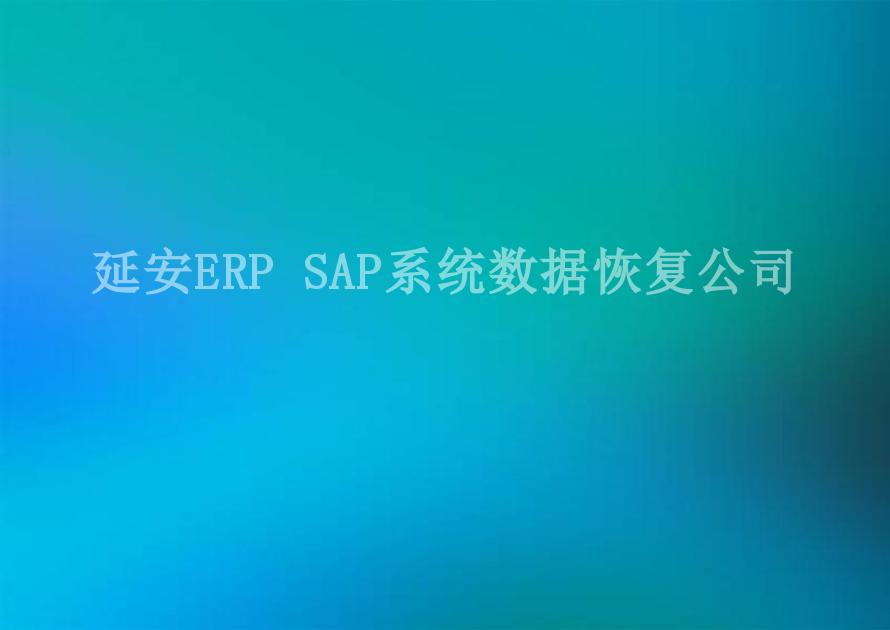 延安ERP SAP系统数据恢复公司2