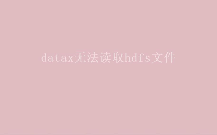 datax无法读取hdfs文件2
