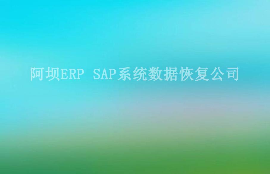 阿坝ERP SAP系统数据恢复公司1