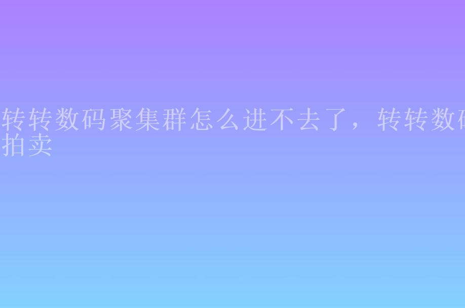 转转数码聚集群怎么进不去了，转转数码拍卖1