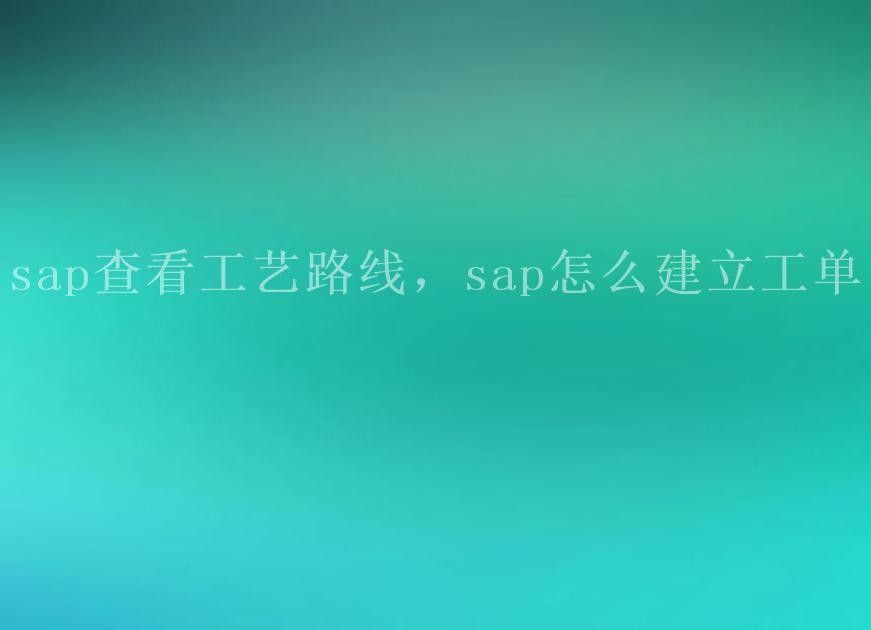 sap查看工艺路线，sap怎么建立工单1