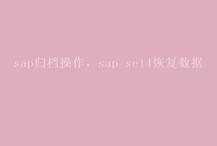 sap归档操作，sap se14恢复数据2