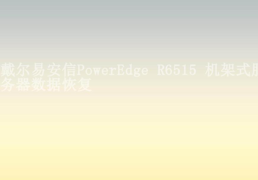 戴尔易安信PowerEdge R6515 机架式服务器数据恢复2