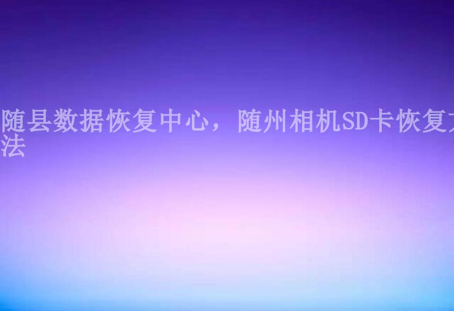 随县数据恢复中心，随州相机SD卡恢复方法2