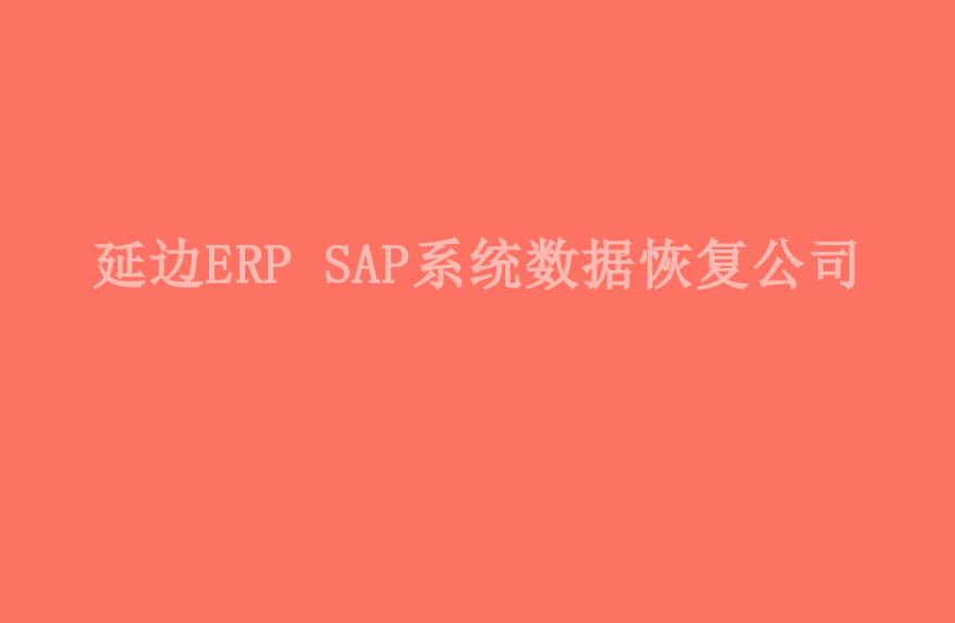 延边ERP SAP系统数据恢复公司2