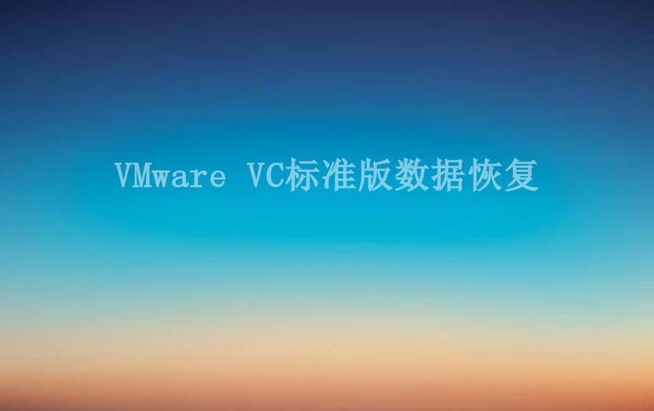 VMware VC标准版数据恢复2