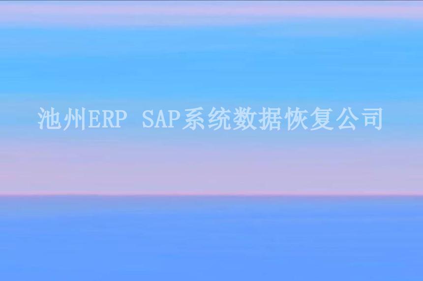 池州ERP SAP系统数据恢复公司1