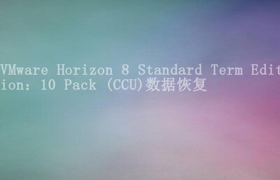 VMware Horizon 8 Standard Term Edition：10 Pack (CCU)数据恢复1