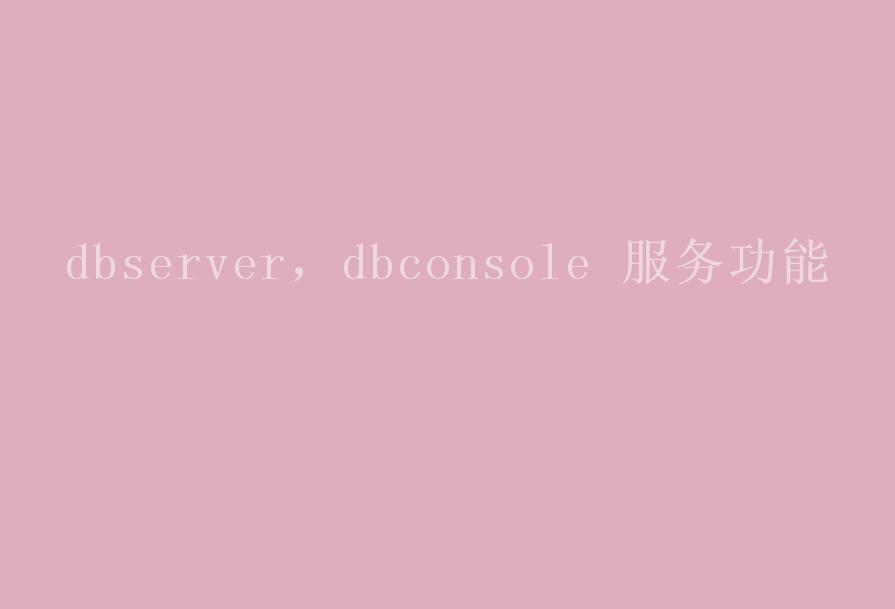 dbserver，dbconsole 服务功能1